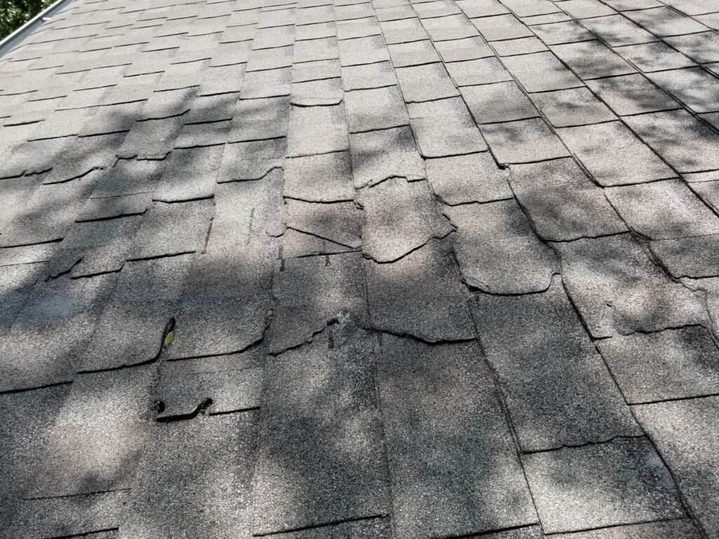 Asphalt shingles damaged by storm-blown branches